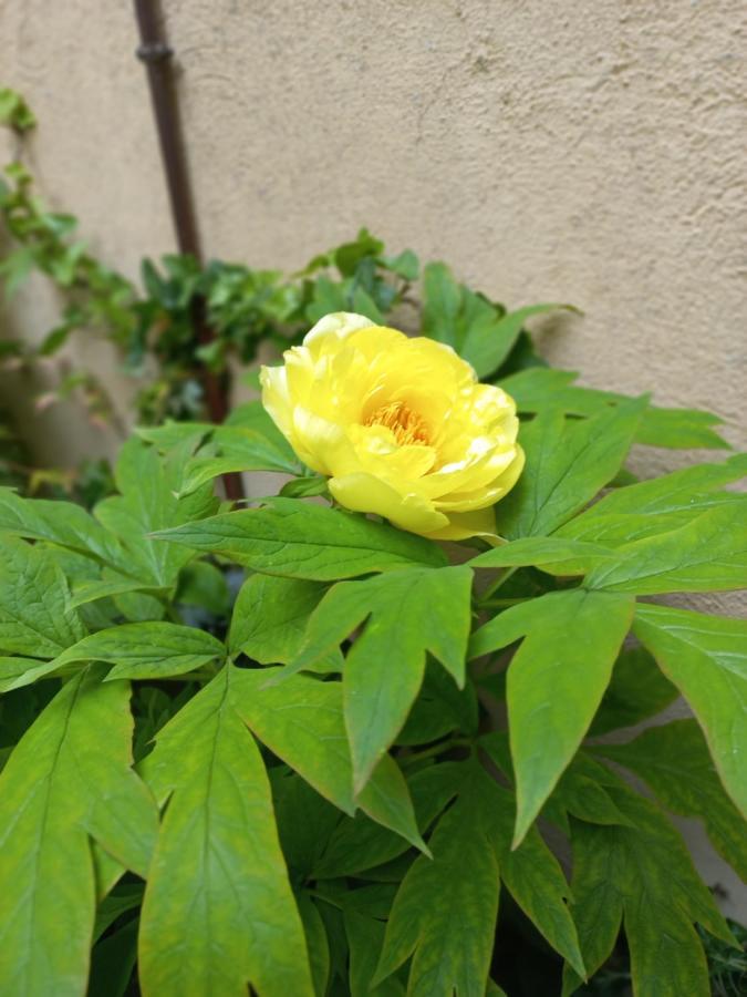 볼로냐 Giardino Segreto - History And Design 아파트 외부 사진