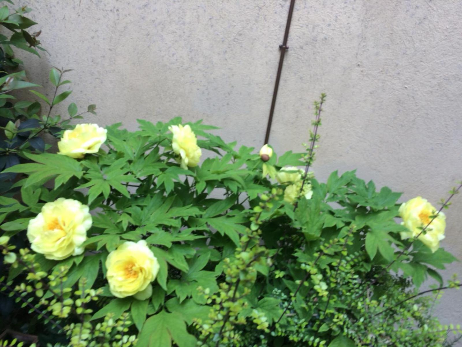 볼로냐 Giardino Segreto - History And Design 아파트 외부 사진